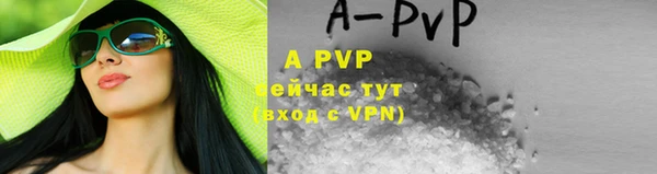 ПСИЛОЦИБИНОВЫЕ ГРИБЫ Белокуриха