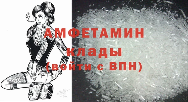 твердый Лагань