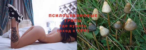 ПСИЛОЦИБИНОВЫЕ ГРИБЫ Белокуриха