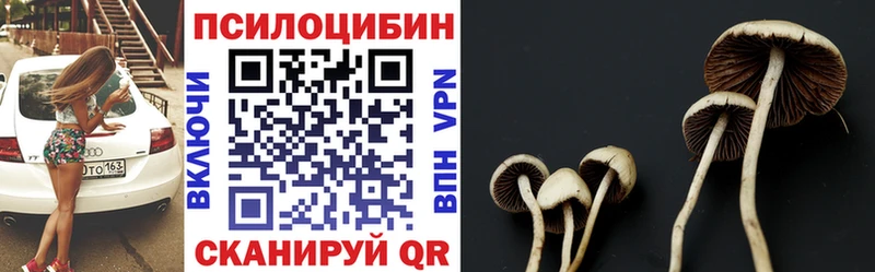 наркотики  Верхоянск  shop наркотические препараты  Галлюциногенные грибы GOLDEN TEACHER 